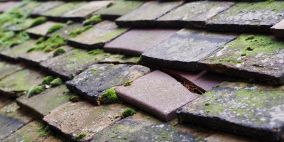 Parkend roof repair costs